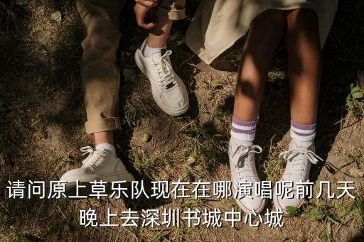 林大葉深圳演出，我想知道七月份是誰來深圳演出