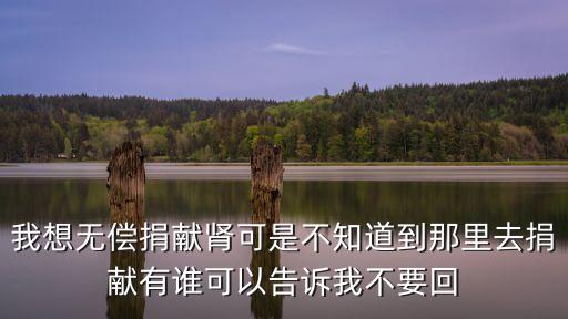 我想無償捐獻腎可是不知道到那里去捐獻有誰可以告訴我不要回