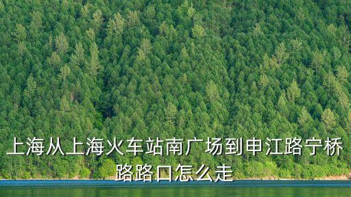 上海從上海火車站南廣場到申江路寧橋路路口怎么走