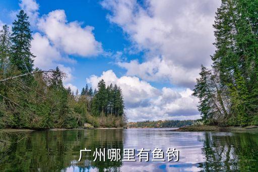 廣州地區釣草魚，廣東四月份手海桿怎樣釣草魚