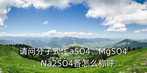 請問分子式:CaSO4、MgSO4、Na2SO4各怎么稱呼