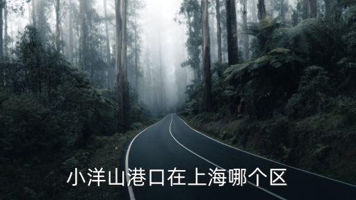 小洋山港口在上海哪個(gè)區(qū)
