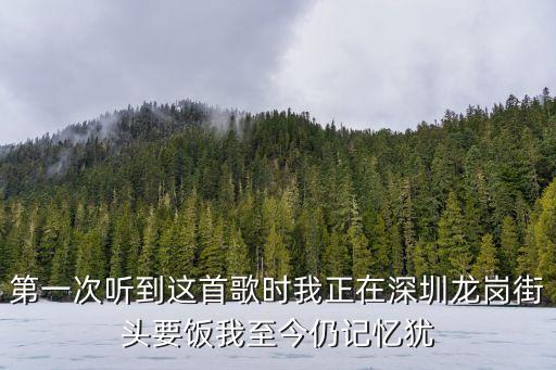 第一次聽到這首歌時我正在深圳龍崗街頭要飯我至今仍記憶猶