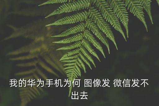 我的華為手機為何 圖像發 微信發不出去