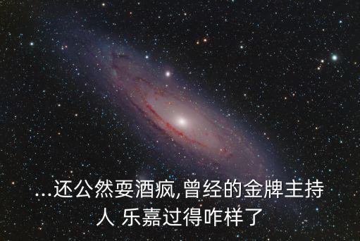 ...還公然耍酒瘋,曾經(jīng)的金牌主持人 樂嘉過得咋樣了