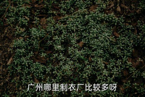 廣州哪里制衣廠比較多呀