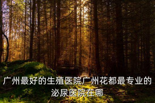 廣州最好的生殖醫院廣州花都最專業的泌尿醫院在哪