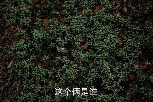 林曉峰 上海市審計局，這個倆是誰