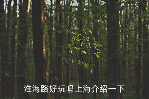 淮海路好玩嗎上海介紹一下