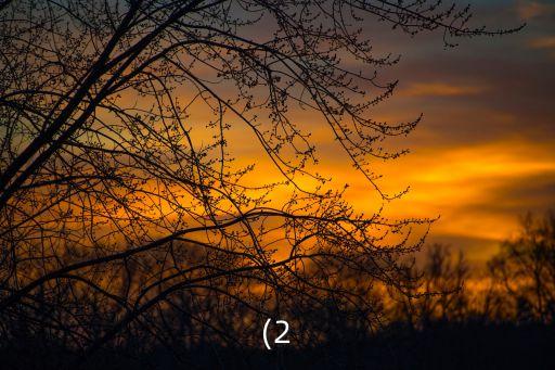 (2