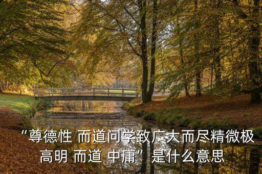 “尊德性 而道問學致廣大而盡精微極 高明 而道 中庸”是什么意思