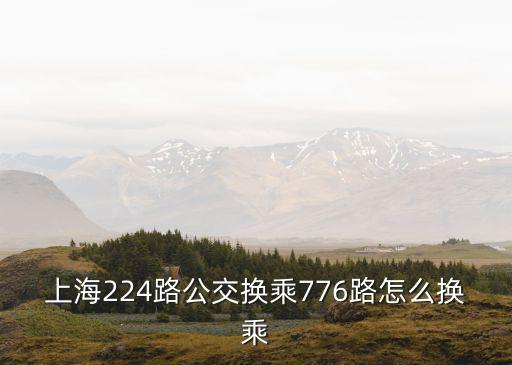 上海市224線路，求上海224幾分鐘一趟