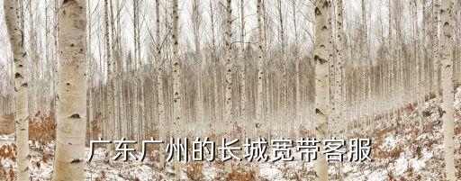廣州長城寬帶撥號，廣州長誠寬帶客服電話是多少啊
