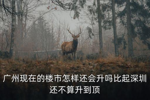 廣州現(xiàn)在的樓市怎樣還會升嗎比起深圳還不算升到頂