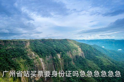 廣州省站買票要身份證嗎急急急急急急