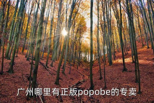 廣州哪里有正版popobe的專賣