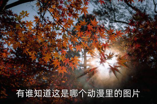 化妝包圖片,lv化妝包圖片