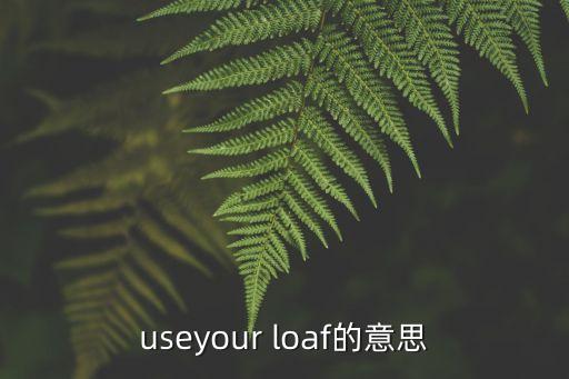 useyour loaf的意思