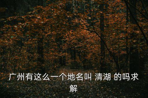 廣州有這么一個地名叫 清湖 的嗎求解