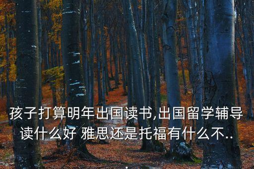 雅思助考,雅思主要考什么內容