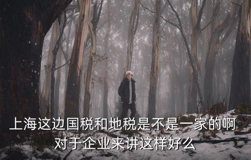 上海這邊國稅和地稅是不是一家的啊 對于企業來講這樣好么