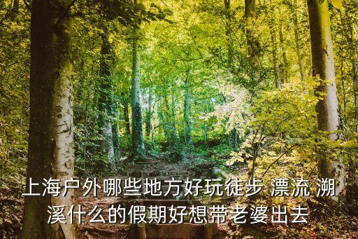 上海市定向戶外，我辦了定向長途上海的打全球通怎么算