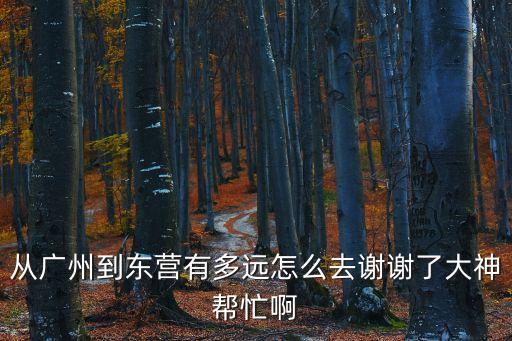 從廣州到東營有多遠怎么去謝謝了大神幫忙啊