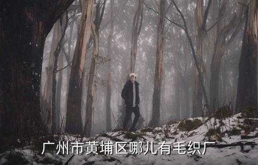 廣州市黃埔區哪兒有毛織廠