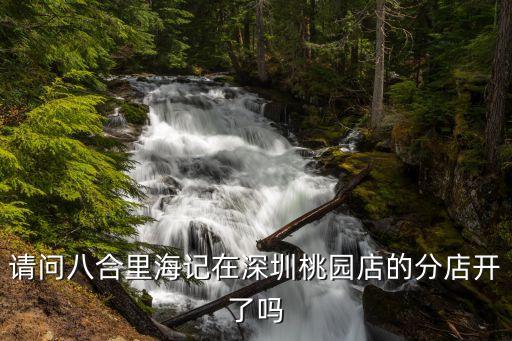 深圳八合里海記 南園，深圳汕頭八合里海記牛肉店味道怎么樣