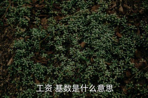  工資 基數(shù)是什么意思