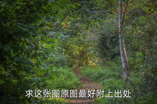 2018上海市民文化節圖片，求這張原圖
