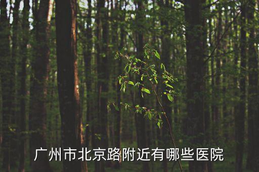 廣州北京路附近醫院，廣州市北京路附近有哪些醫院