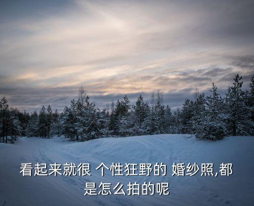 看起來就很 個性狂野的 婚紗照,都是怎么拍的呢