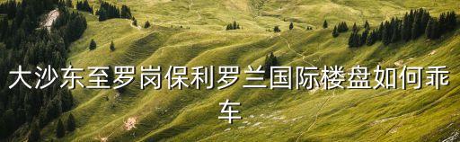 大沙東至羅崗保利羅蘭國際樓盤如何乖車