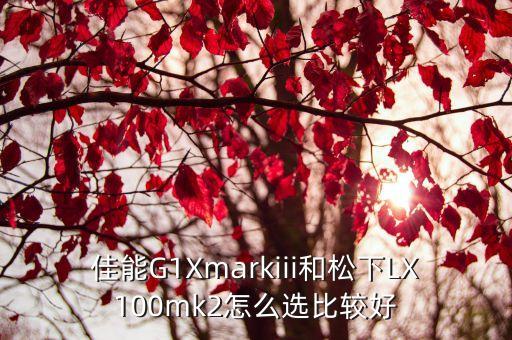 lx100,劉姓100分好名女孩