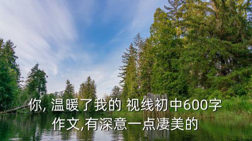 你, 溫暖了我的 視線初中600字作文,有深意一點(diǎn)凄美的
