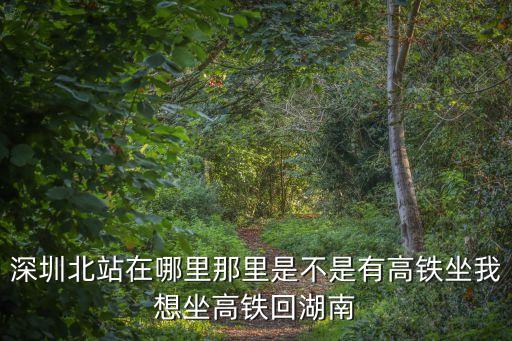 深圳北站高鐵到哪，深圳北站高鐵站在哪里