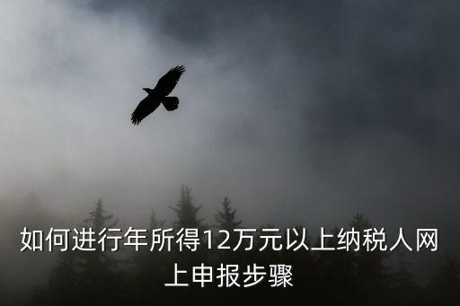 如何進行年所得12萬元以上納稅人網上申報步驟