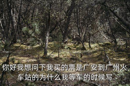 你好我想問下我買的票是廣安到廣州火車站的為什么我等車的時候寫