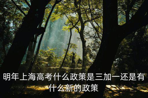 上海市最新高考方案，上海高考制度