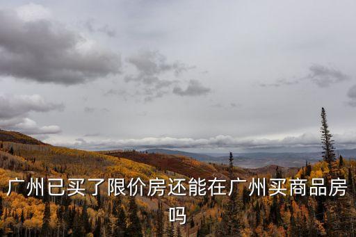 廣州已買了限價房還能在廣州買商品房嗎