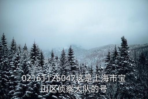 02161126047這是上海市寶山區偵察大隊的號
