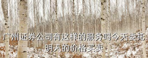 廣州證券公司有這樣的服務嗎今天委托明天的價格買賣