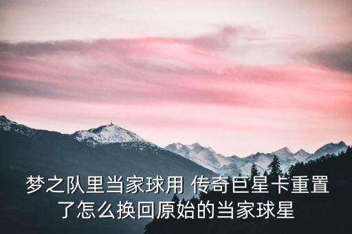 傳奇夢之隊