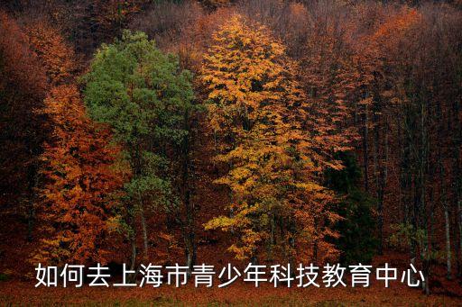如何去上海市青少年科技教育中心