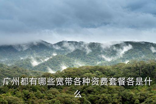 廣州都有哪些寬帶各種資費套餐各是什么