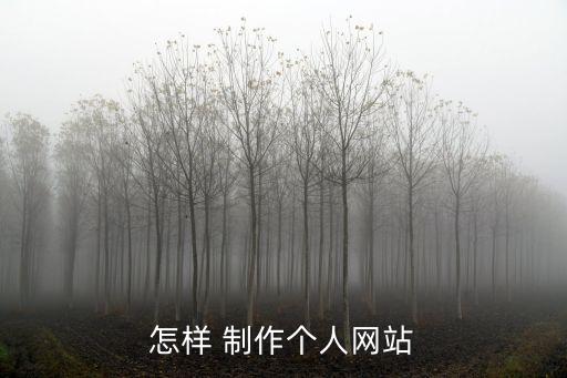 怎樣 制作個人網站