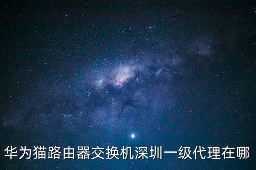 華為貓路由器交換機深圳一級代理在哪