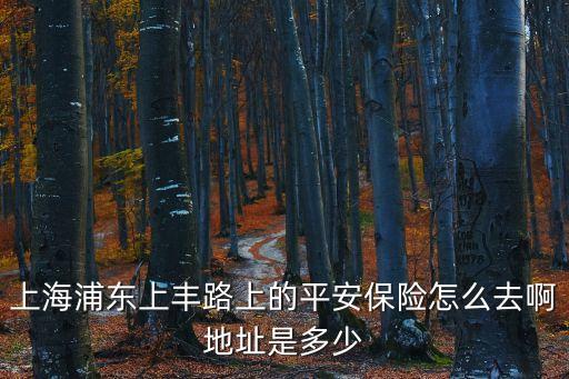 上海市浦東新區(qū)上南路聯(lián)豐路口，浦東上南路3521號聯(lián)豐舞廳上午幾點開始實行