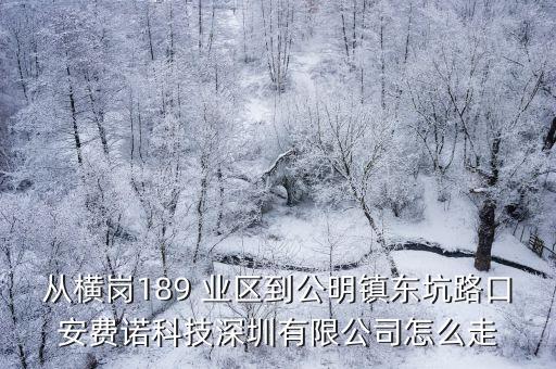 從橫崗189 業區到公明鎮東坑路口安費諾科技深圳有限公司怎么走